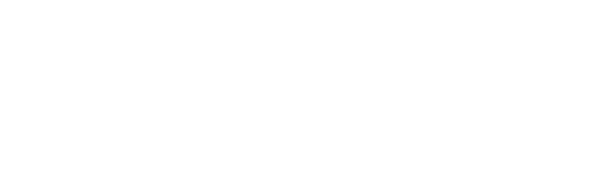 StarMetro Logo